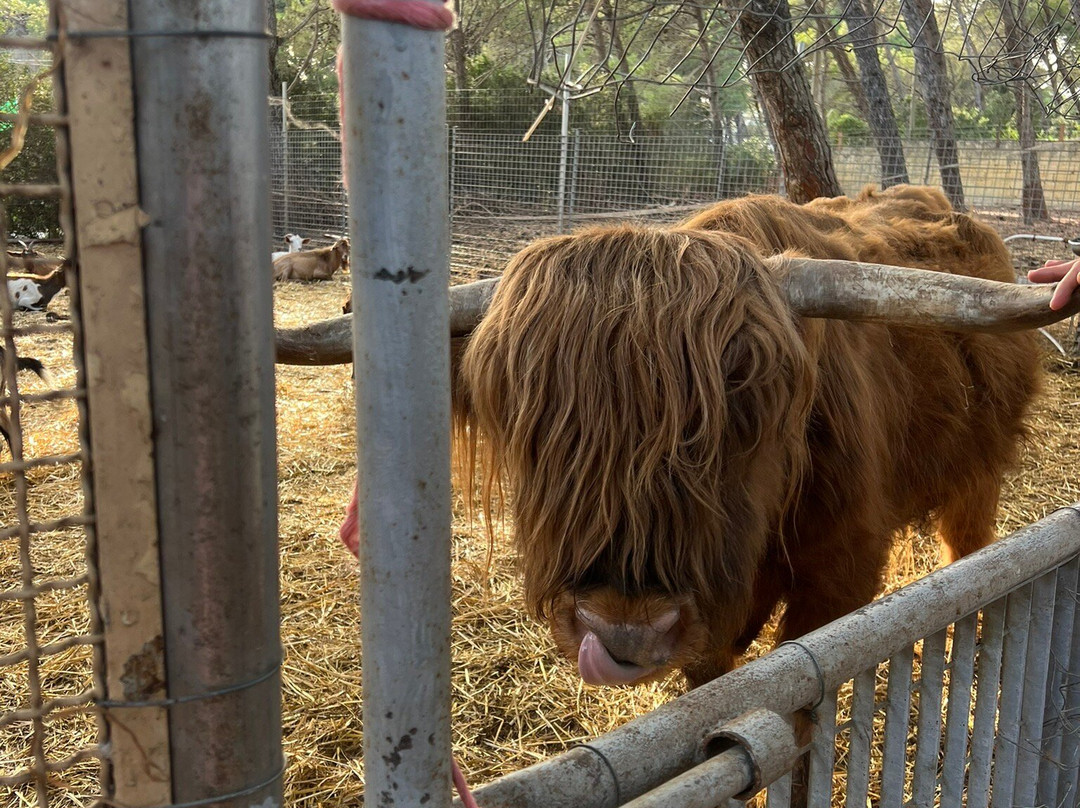 Il Piccolo Ranch-San Cataldo必去景点