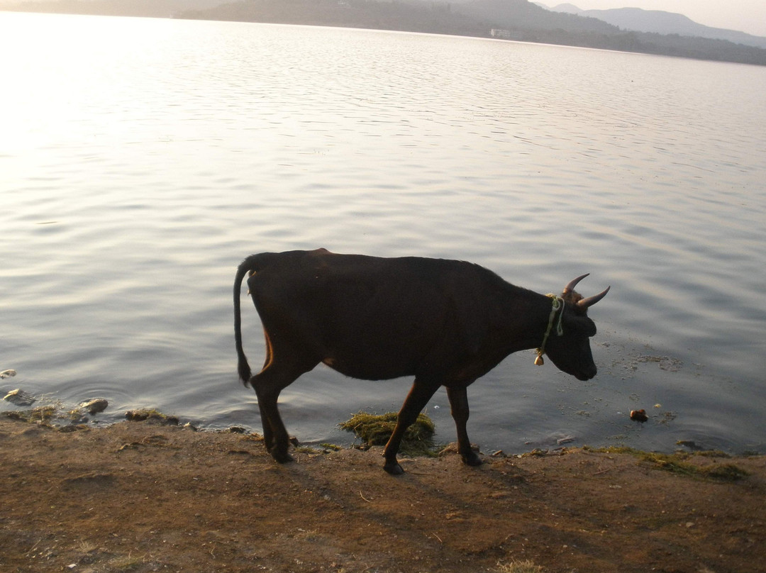 Khadakwasla Dam-浦那必去景点