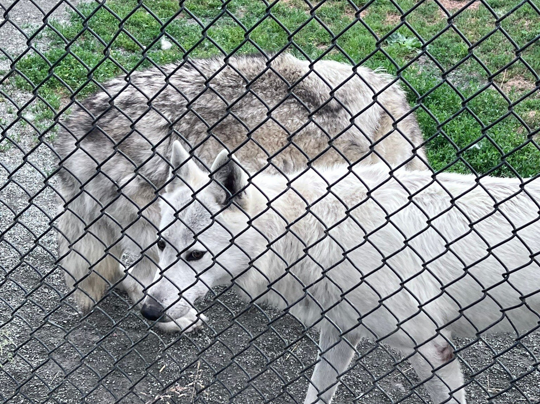 Kisma Preserve-Trenton必去景点