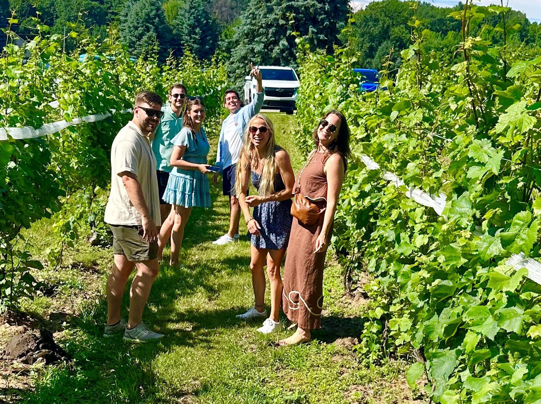 Designated Driver TC-特拉弗斯城必去景点