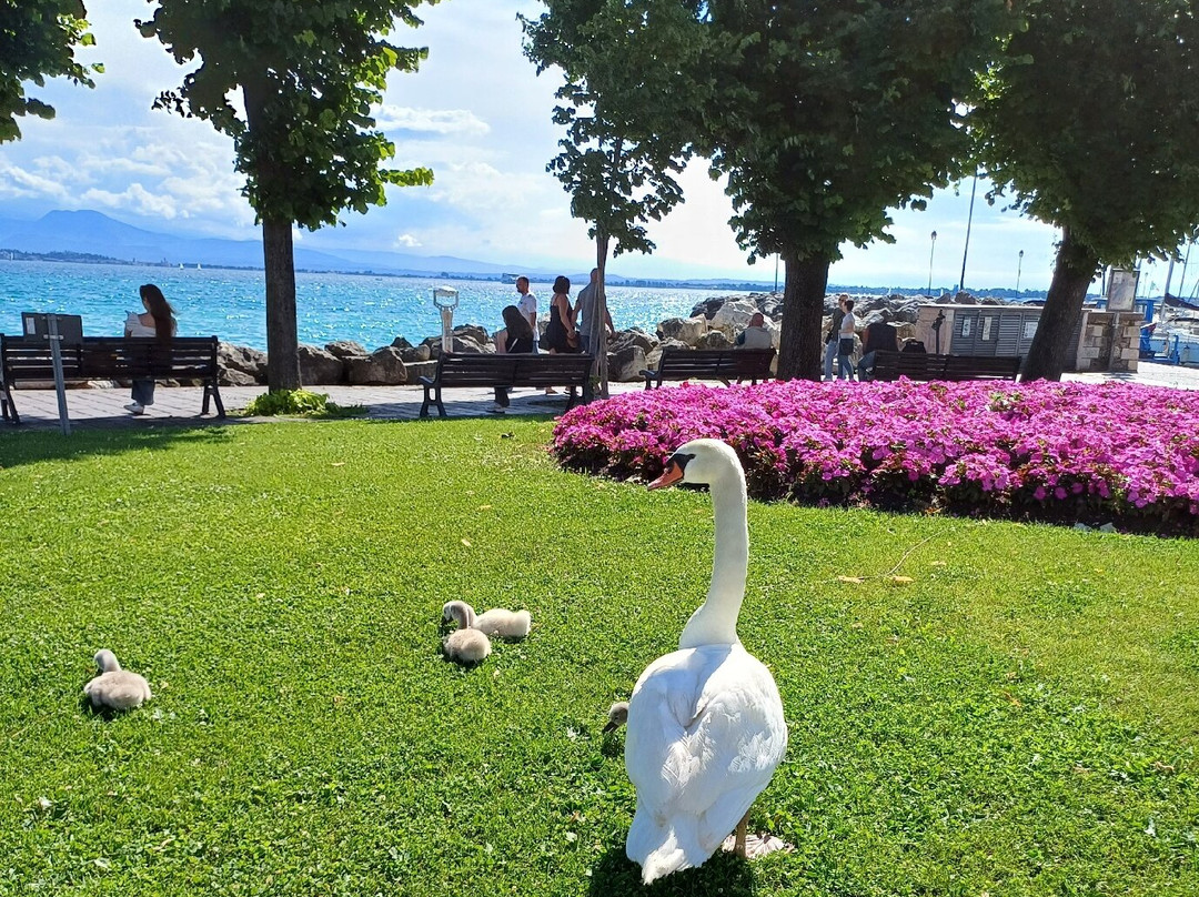 Lungolago Di Desenzano Del Garda-代森扎诺-德尔加达必去景点