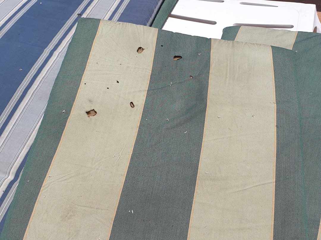 Jiyeh Marina Resort Hotel & Chalets主图