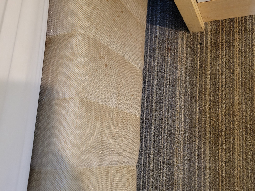 Sonesta Simply Suites Dublin Columbus主图