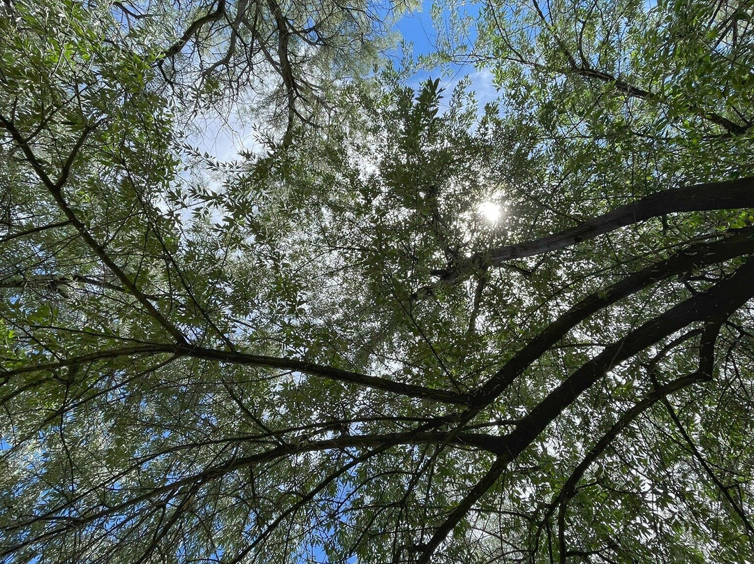 Rock Creek Park-特温福尔斯必去景点