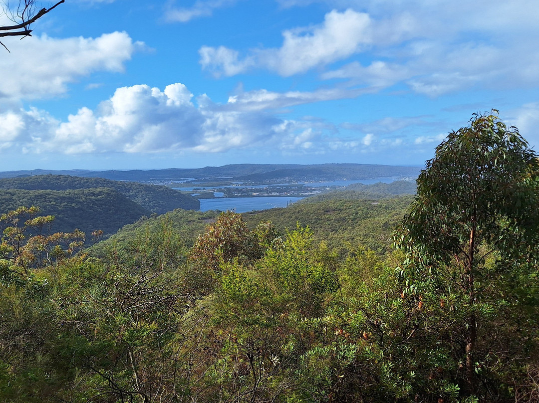 Staples Lookout-Woy Woy必去景点