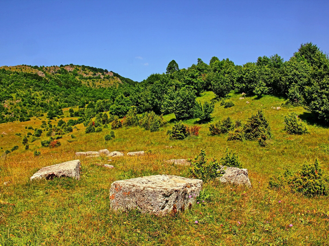 Nekropola stećaka Umoljani景点图片