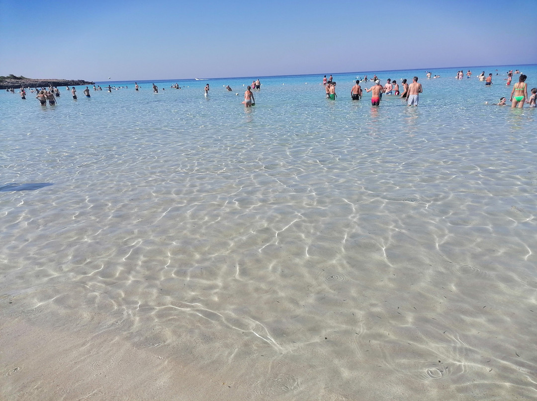 Spiaggia di Montedarena景点图片