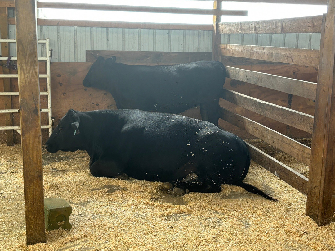 Old McDonald's Farm-Sackets Harbor必去景点