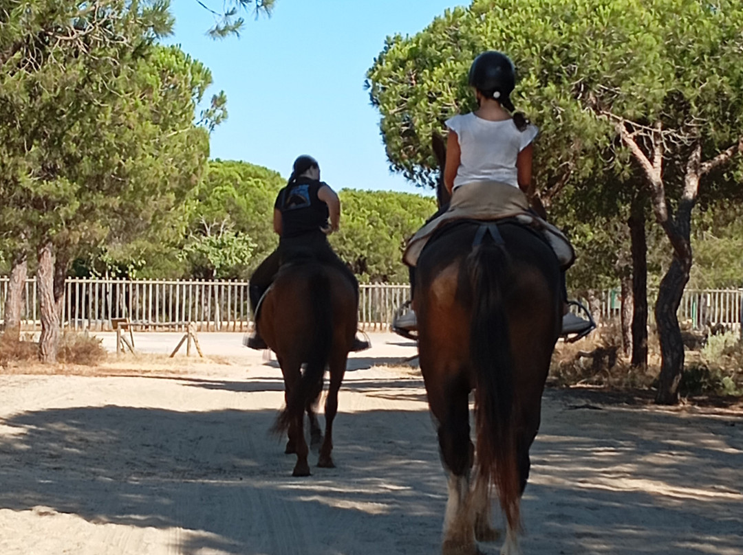 Doñana Hipica El Pasodoble景点图片