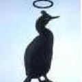TheGoodShag