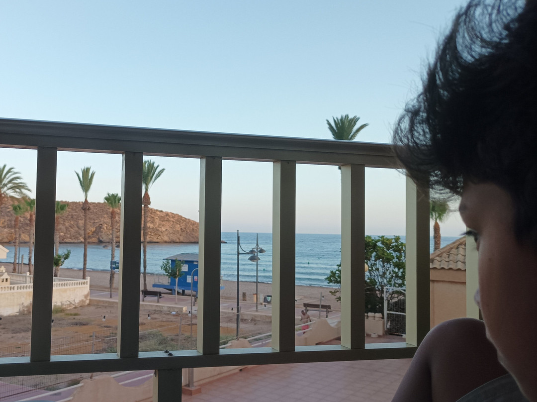 Hotel Playa Grande主图