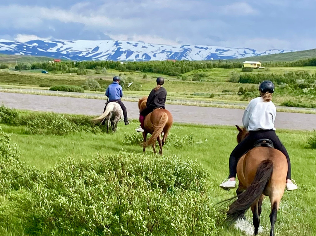 Tvistur Horse Rental-Dalvik必去景点
