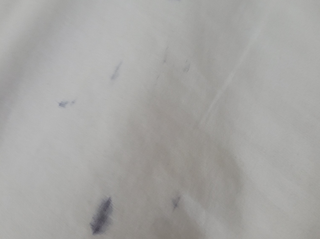 Hampton Inn Holland主图