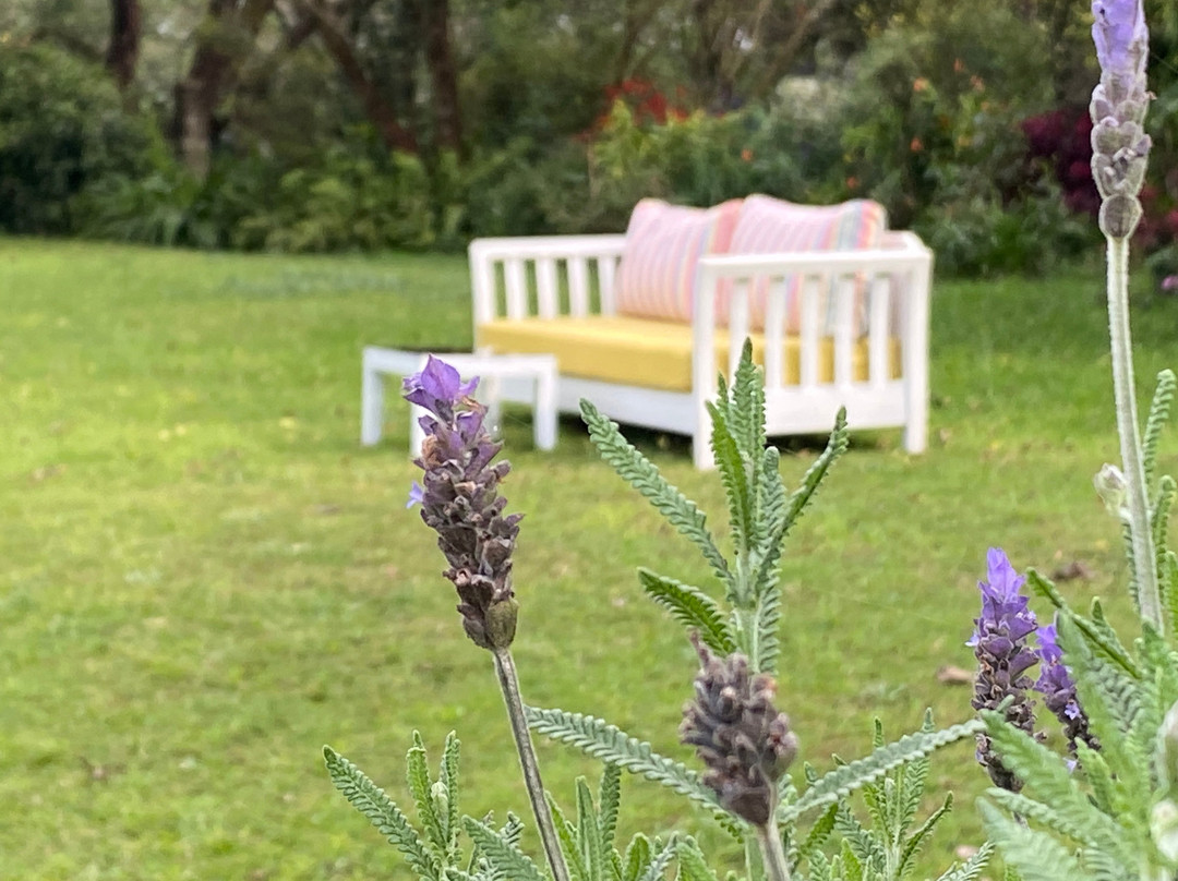 Serenity Spa Tigoni-Tigoni必去景点