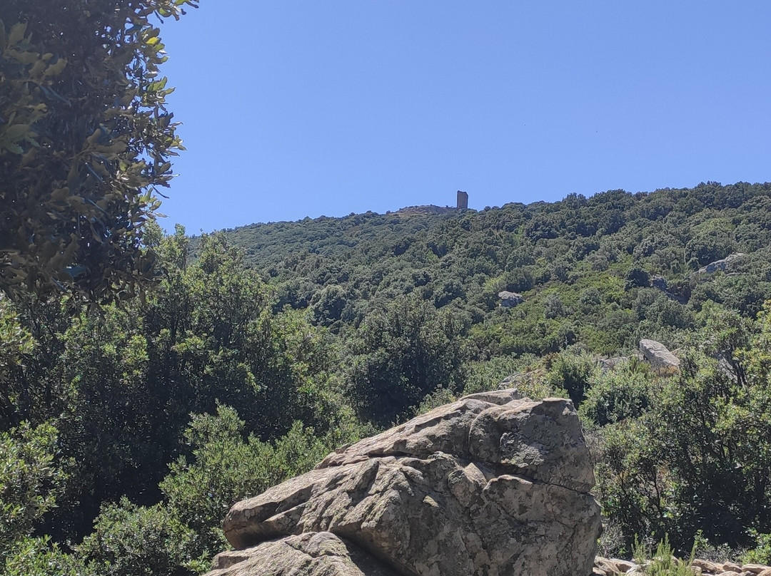 Tour de la Massane景点图片