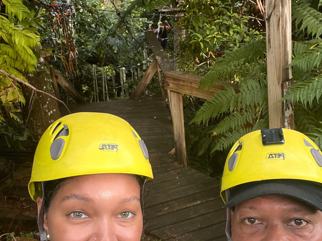 El Yunque Rainforest Corcovado Adventures-Luquillo必去景点