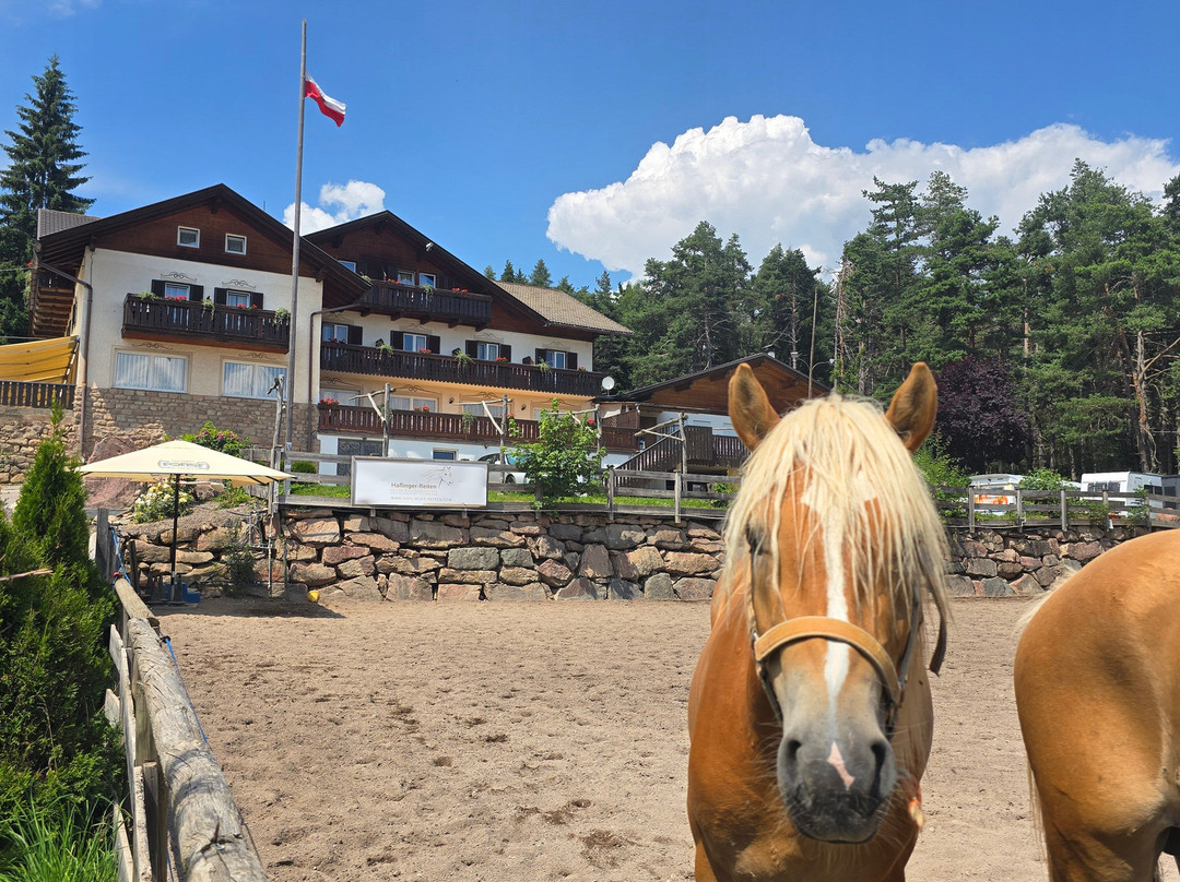 Gasthof Edelweiss主图