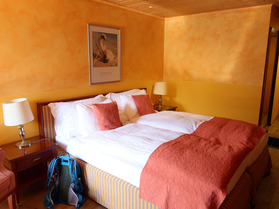Hotel Silberhorn AG主图