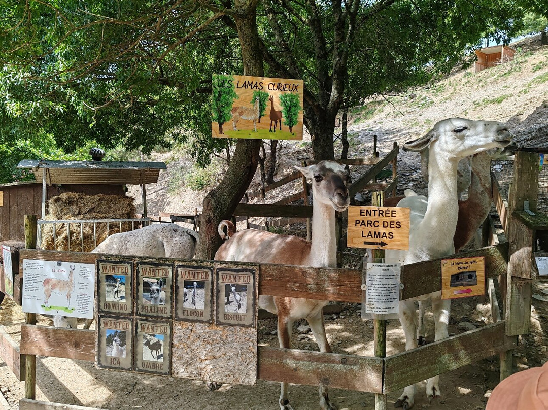 Parc Animalier De Lussas-Lussas必去景点