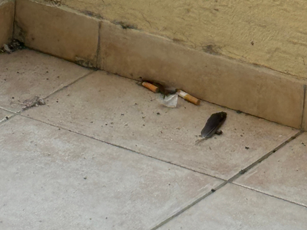 Aquamare Beach Hotel & Spa主图