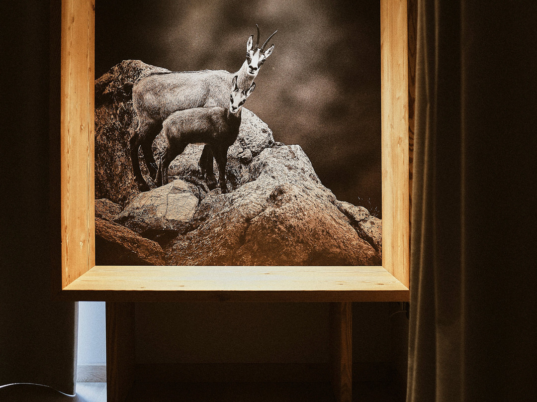 Albergo Vecchio Scarpone主图