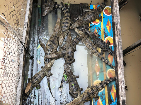 Angkor Wonder Tours-暹粒必去景点