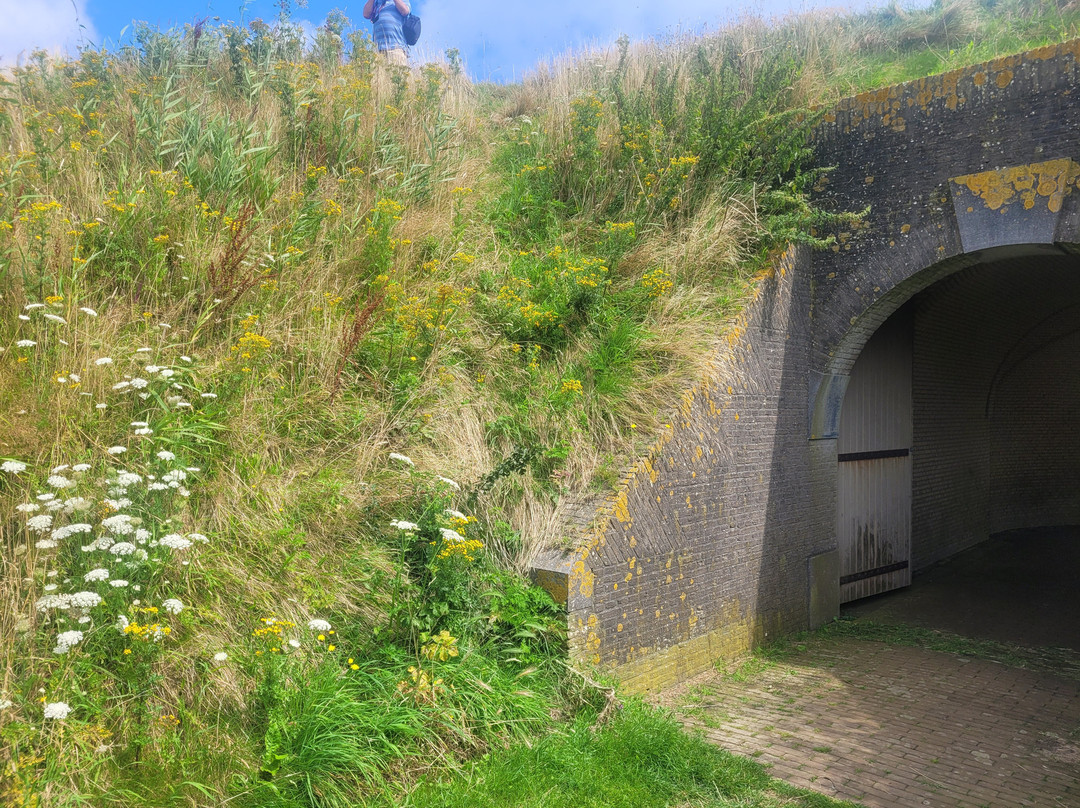 Rijksmonument Fort de Schans Oudeschild Texel uit 1574景点图片