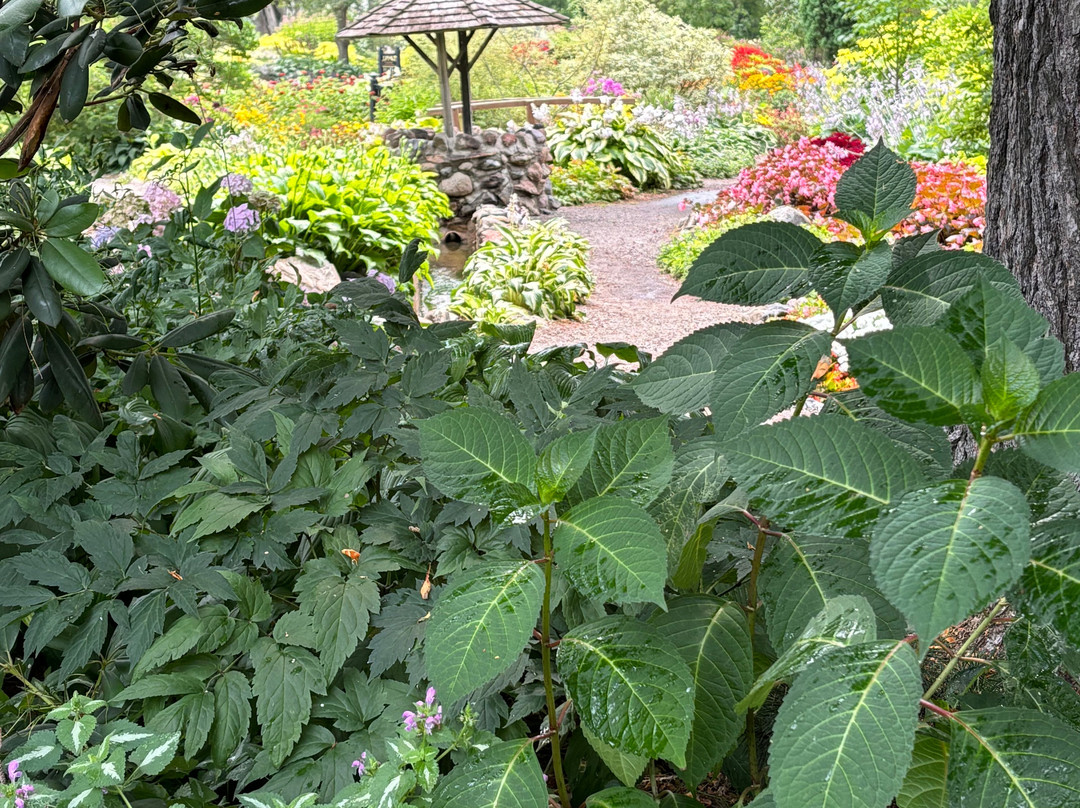 Munsinger Gardens-Saint Cloud必去景点