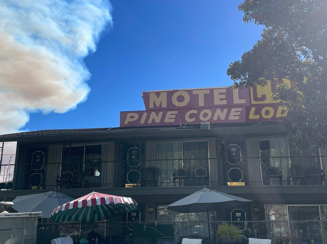 Piazza's Pine Cone Inn主图