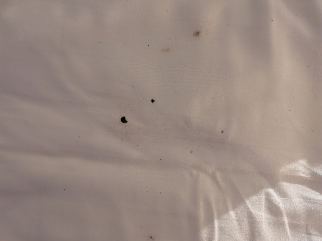 Hotel Soma Nuuk主图