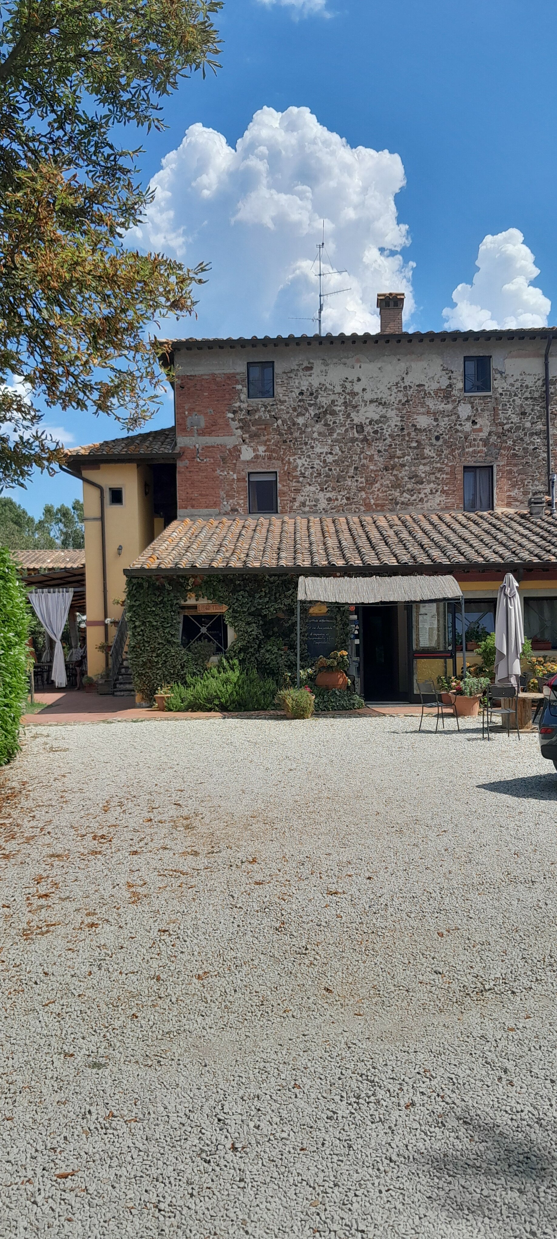 Podere Violino-官方