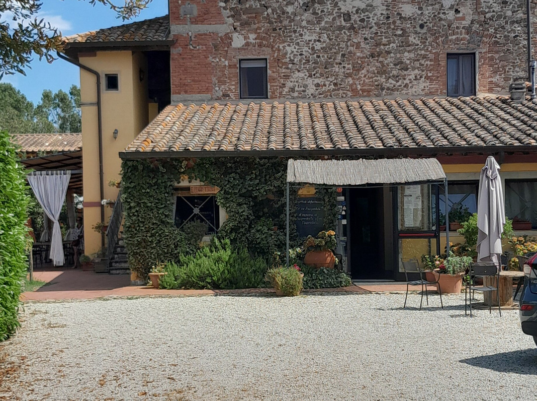 Podere Violino主图