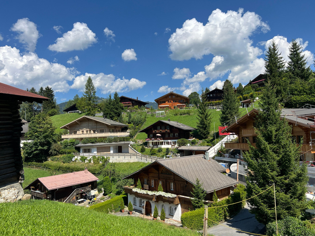 Panorama Trail Gstaad景点图片