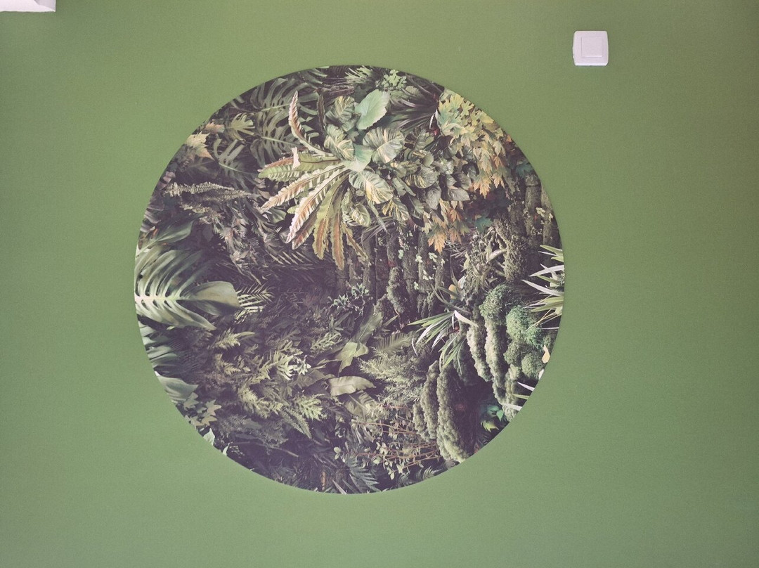 ibis Styles Cayenne Centre Amazonia主图