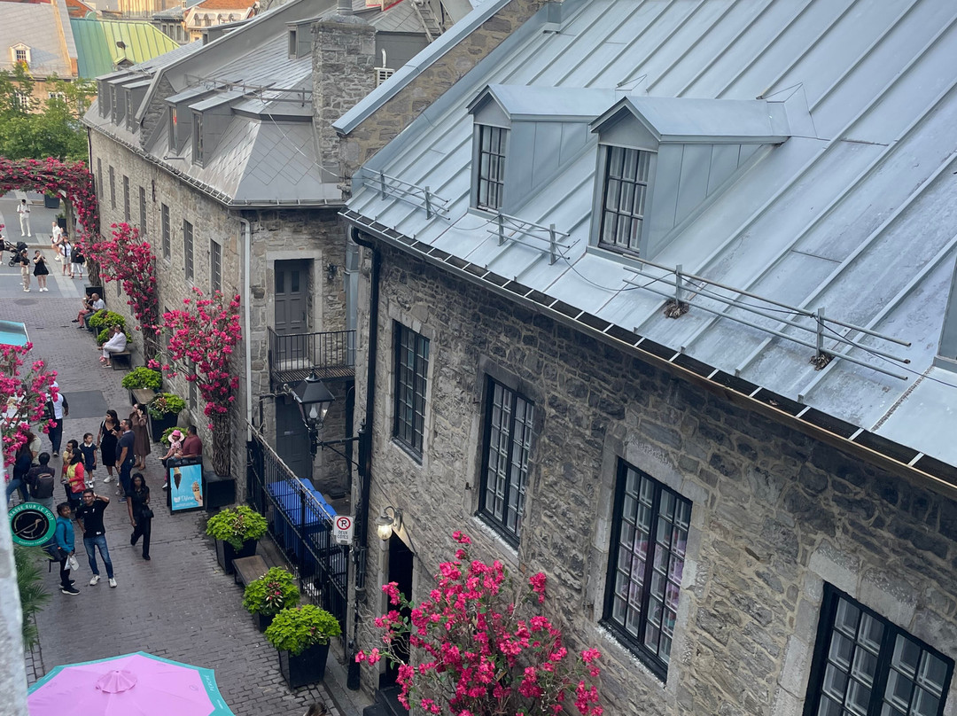 威廉格雷酒店主图