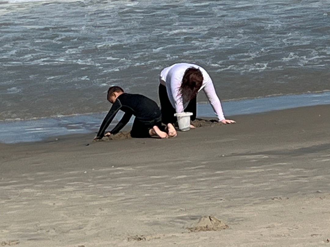 Deauville Beach-里霍博斯比奇必去景点