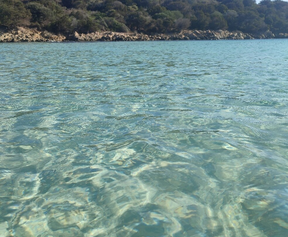 Cala Andreani-Caprera必去景点