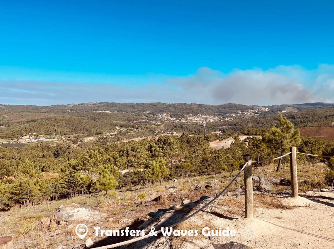 Transfers & Waves Guide