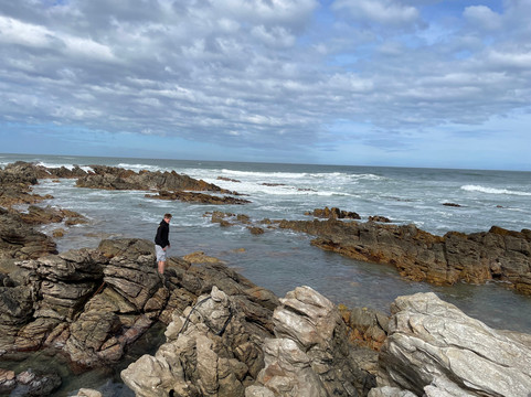 BokBus Garden Route Adventure Tours - Day Tours-木湾必去景点