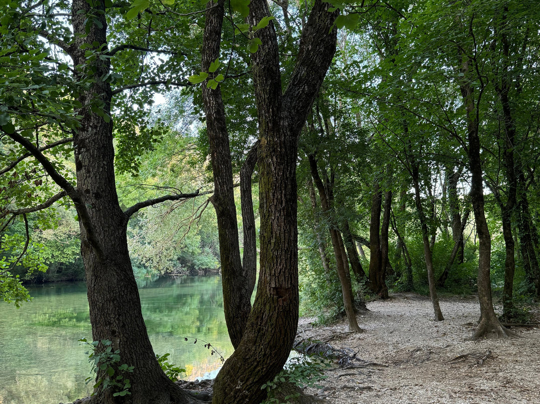 Split Rafting Adventure景点图片