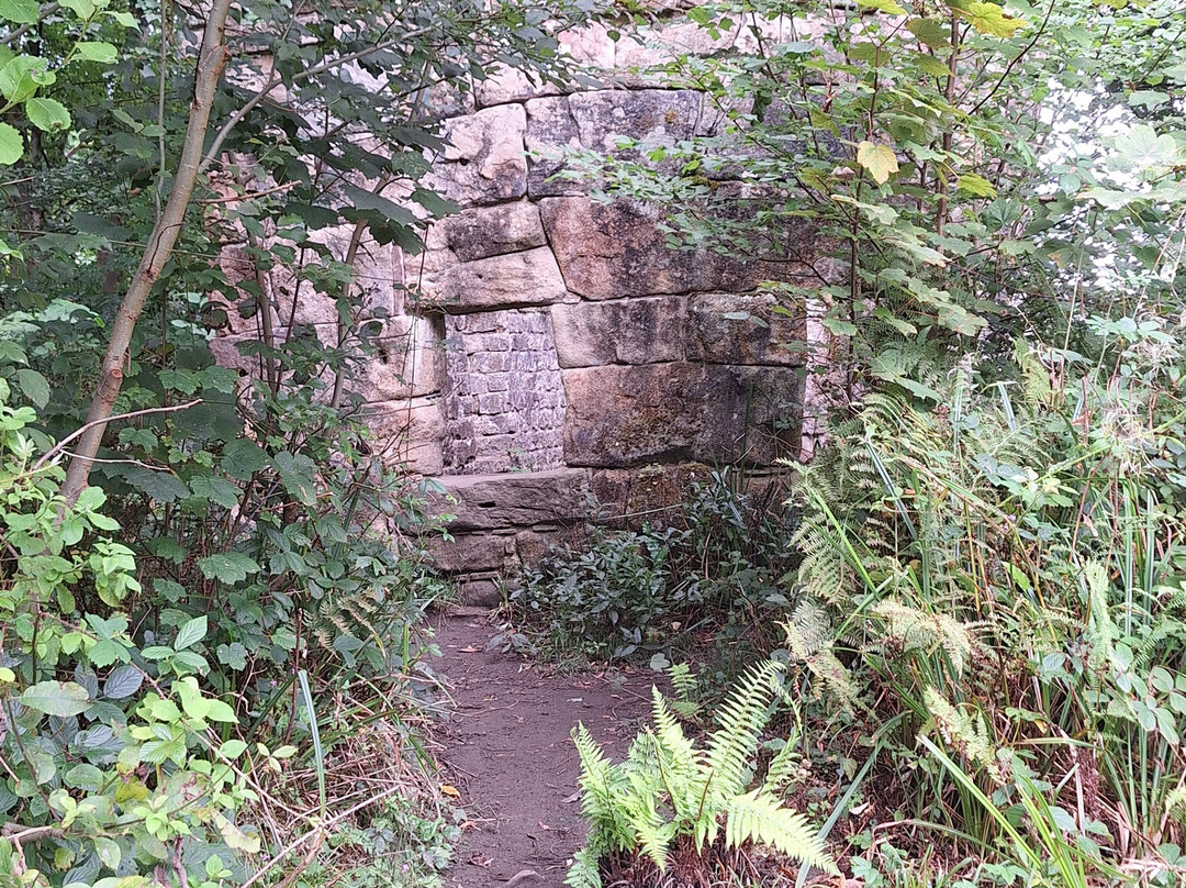 Hackfall Wood-里彭必去景点