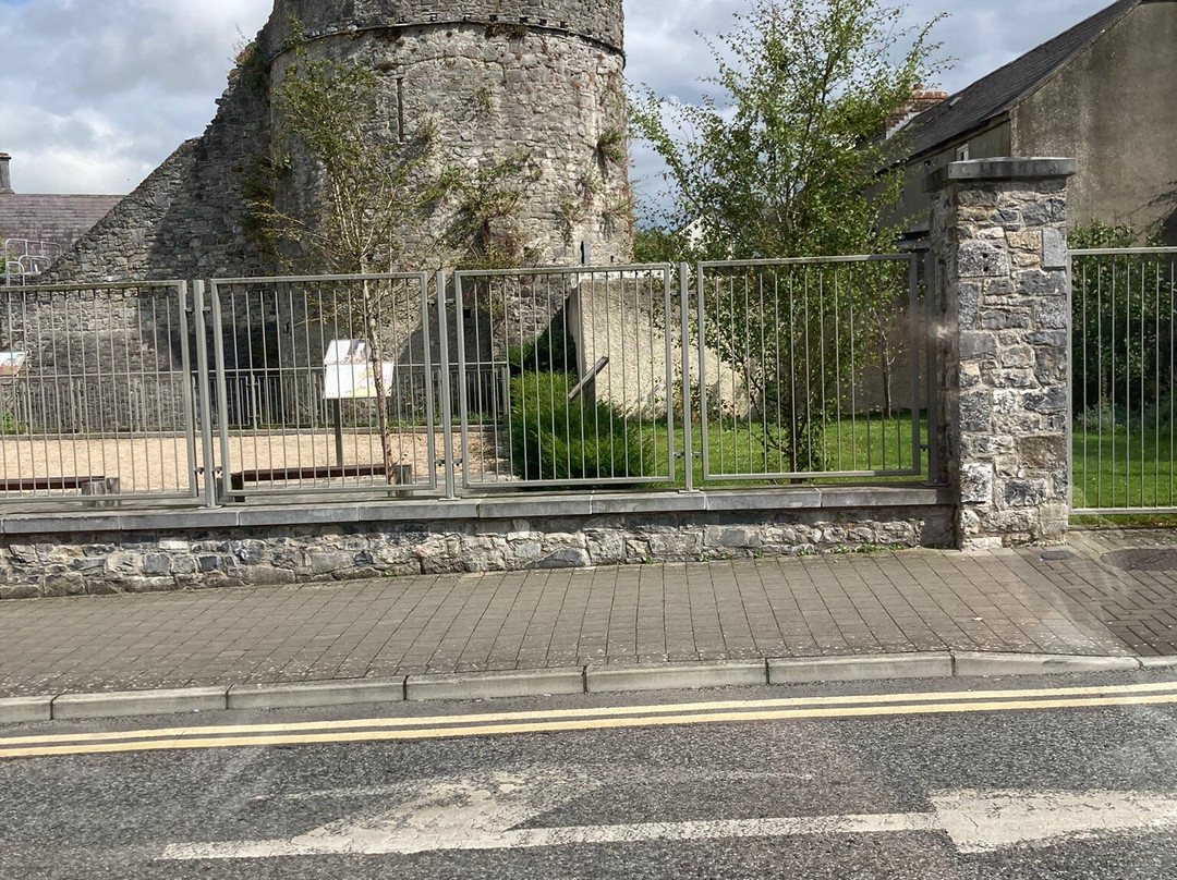 Kilkenny Road Train Tours-基尔肯尼必去景点