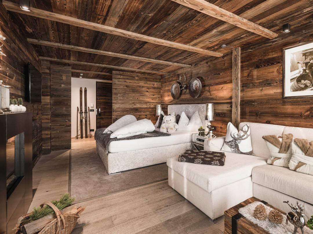 Alpine Boutique Villa Gabriela主图