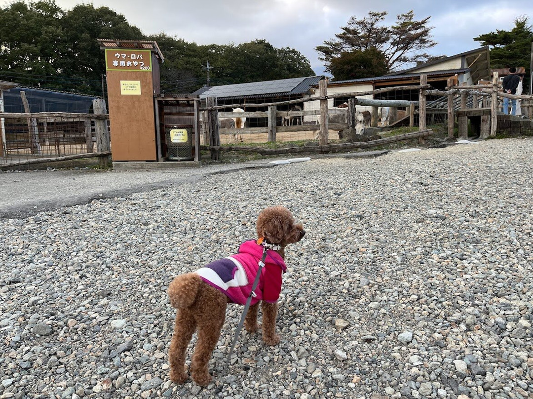 Minamigaoka Ranch-那须町必去景点