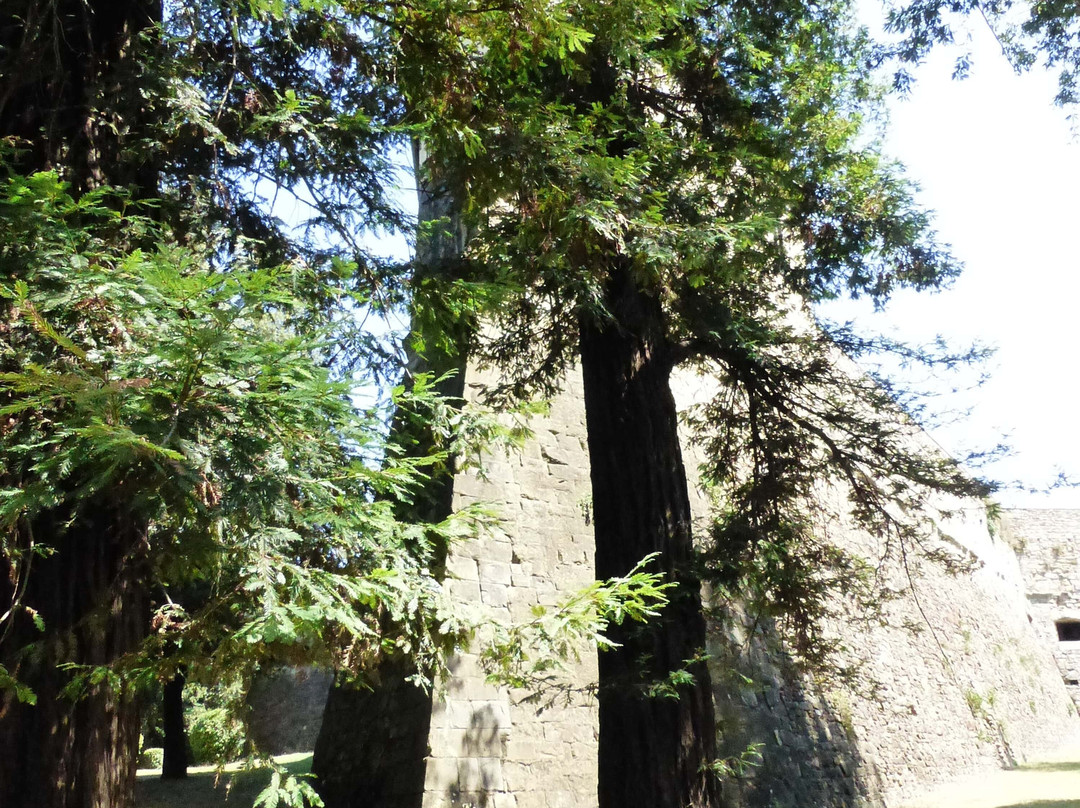 Parco della Fortezza Medicea景点图片