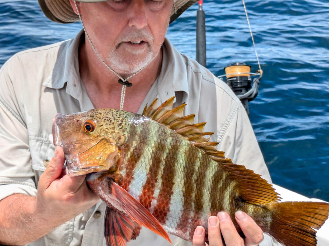 Good Catch Costa Rica景点图片
