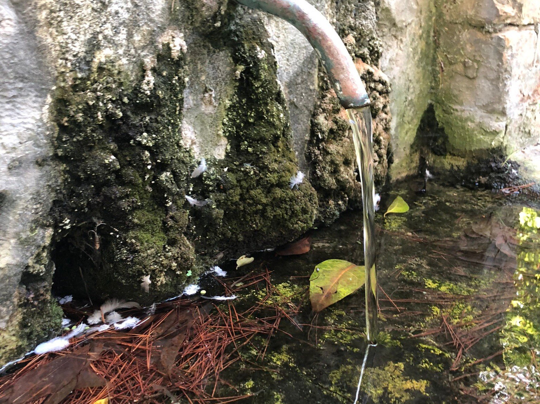 La Antica Fonte Romana-Cologna Paese必去景点