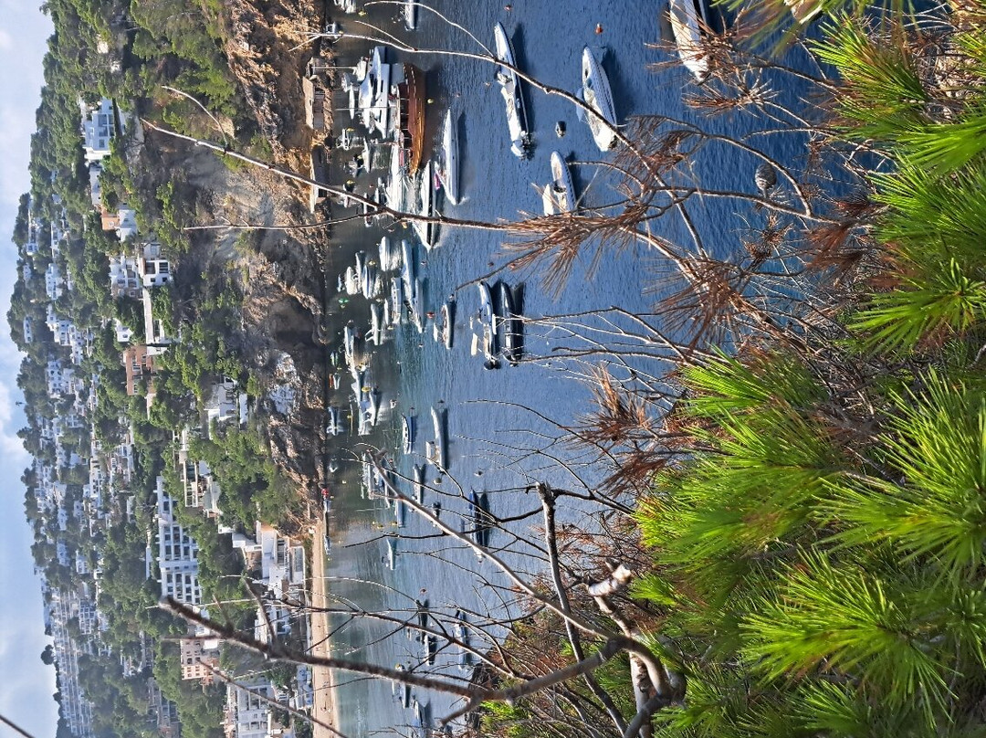 Cala Vadella景点图片