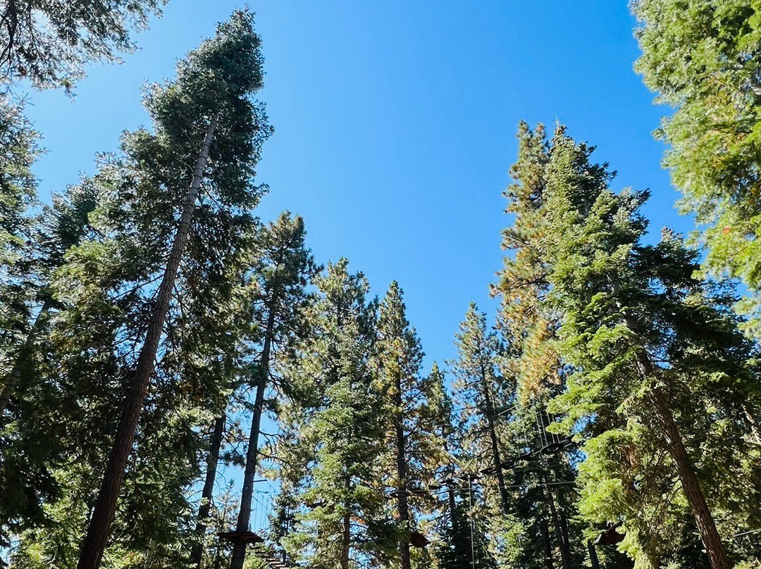 Tahoe Vista Treetop-塔霍维斯塔必去景点