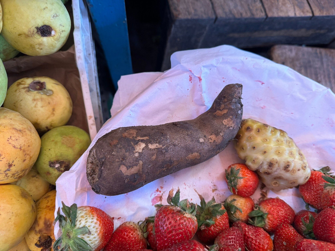 Mercado Central-阿雷基帕必去景点